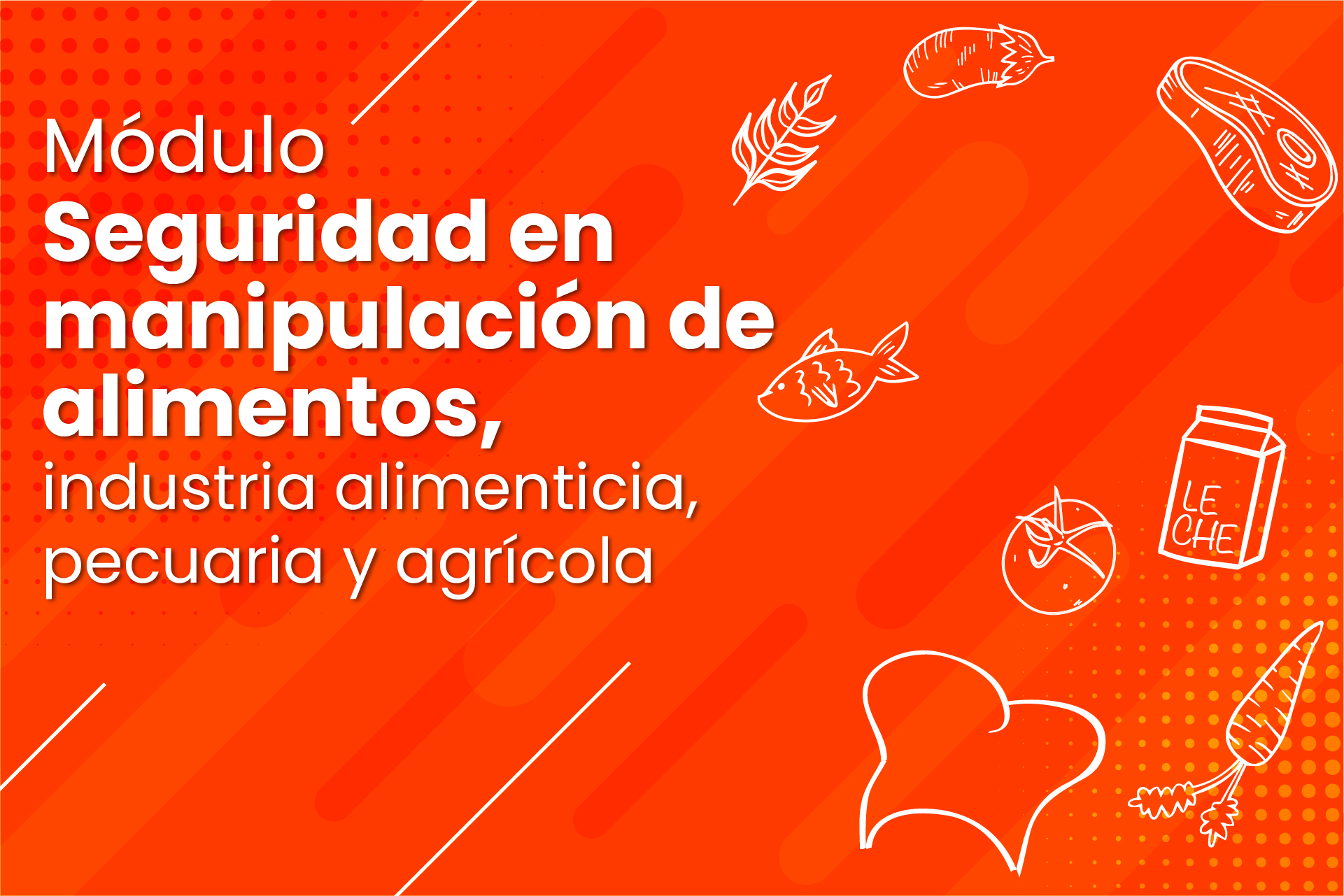 Seguridad en manipulación de alimentos - Base