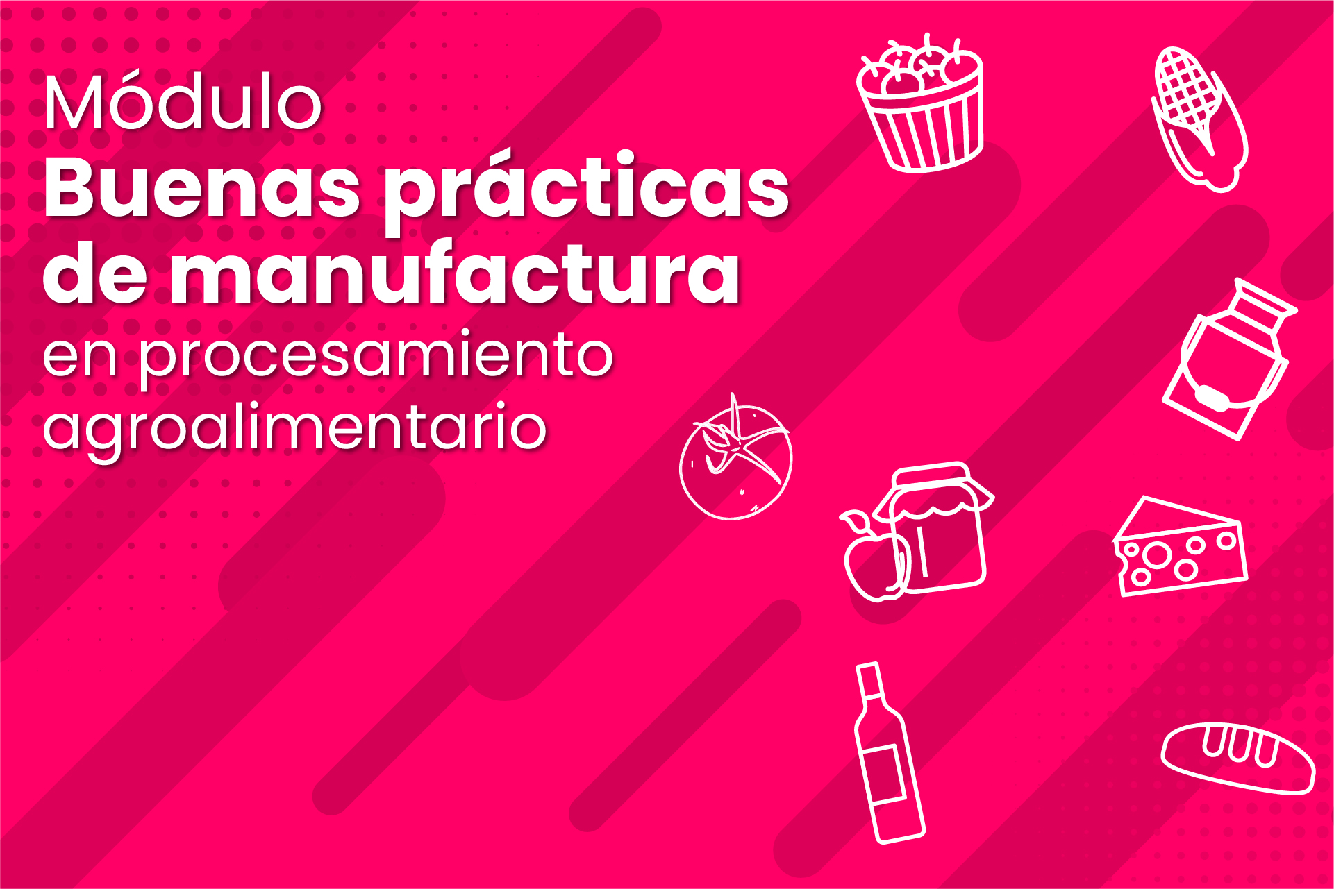 Buenas prácticas de manufactura en procesamiento agroalimentario - Base