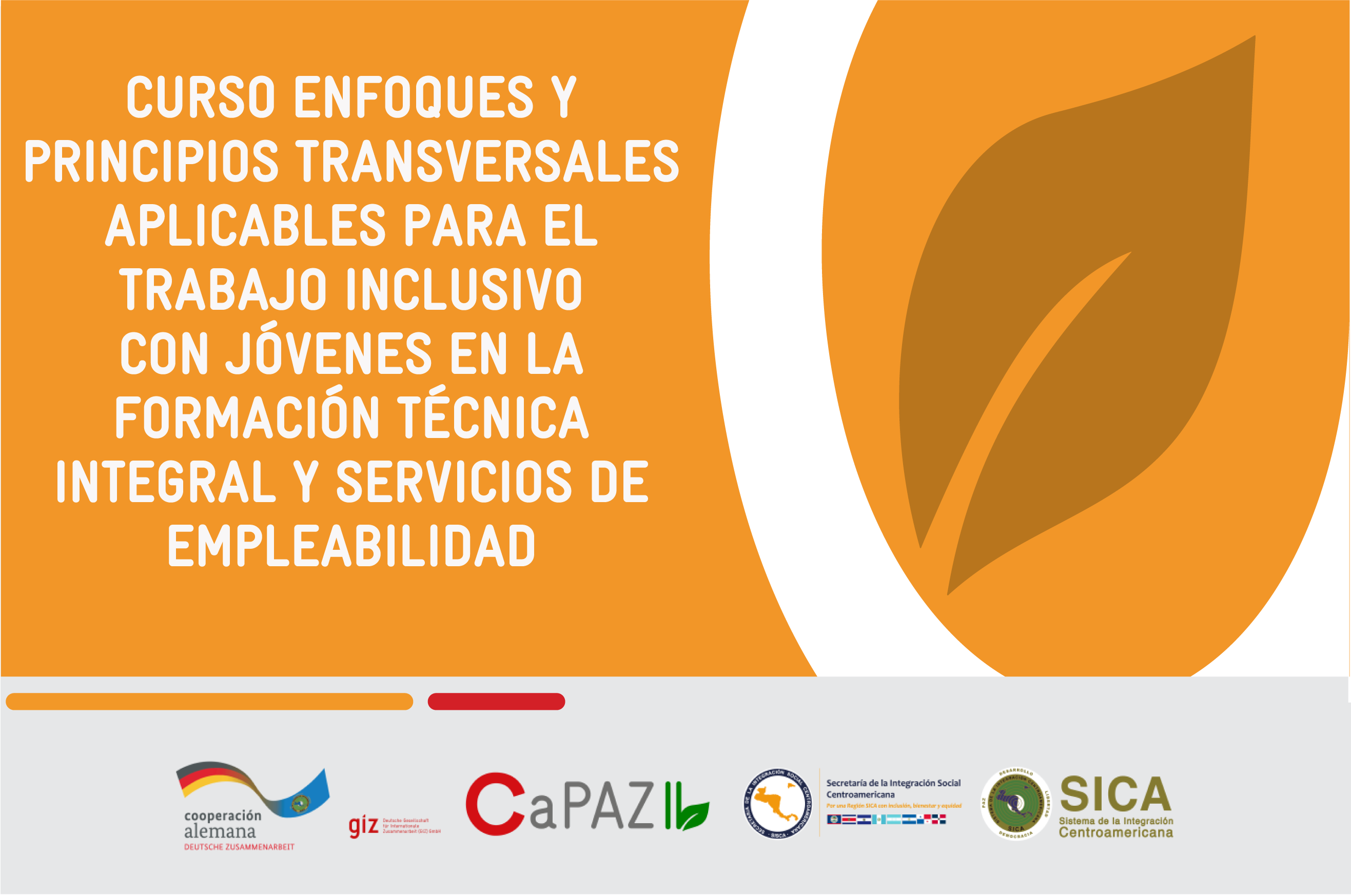Enfoques y Principios Transversales para Trabajar con Juventud copia 1